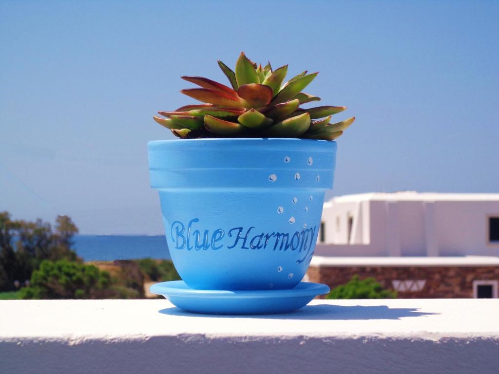 Blue Harmony Apartments Plaka  Luaran gambar